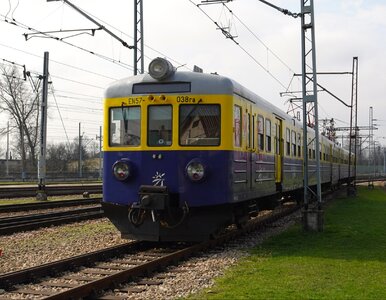 Miniatura: Nie tylko Nieśpieszny. Najstarszy...