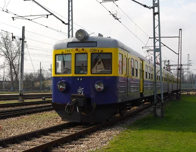 Miniatura: Nie tylko Nieśpieszny. Najstarszy...