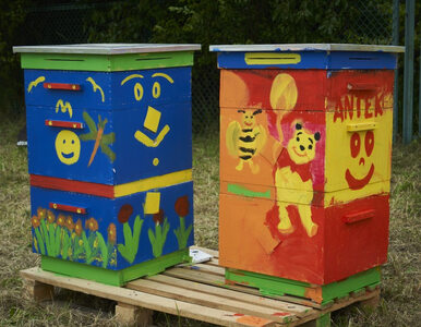 „Pasieka Miejska LOTOS” – bezpieczny dom dla pszczół