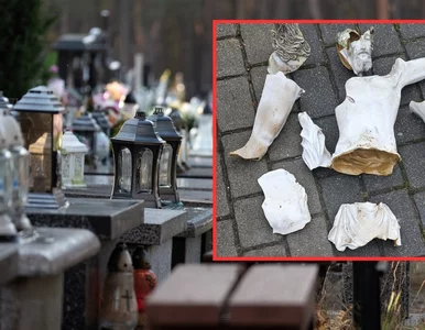 Miniatura: Profanacja na Śląsku. Ksiądz zapowiedział...