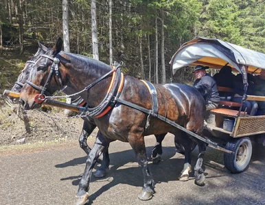 Miniatura: Nietypowy cennik w Tatrach. Opłaty sięgają...