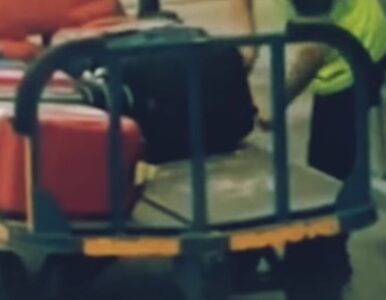 Miniatura: Pracownik lotniska okradał bagaże. Pasażer...