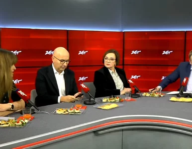 Miniatura: Zalewska „polskim Don Kichotem”?...