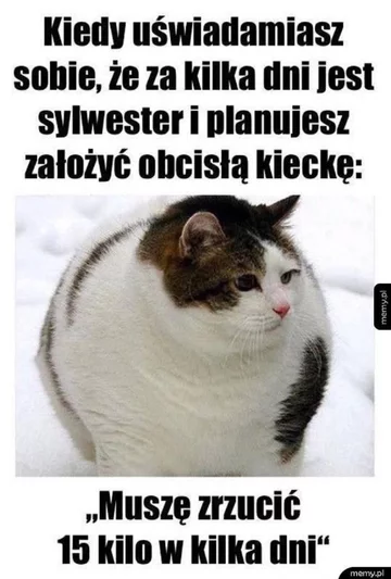 Mem z okazji Sylwestra 