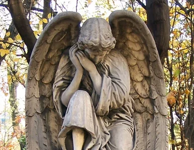 Miniatura: Socjologowie z Katowic badają... cmentarze