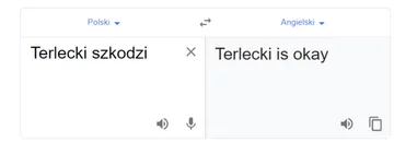 Tłumacz Google i fraza „Terlecki szkodzi” 