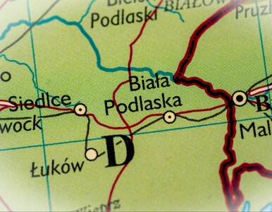 Miniatura: QUIZ Mapę Polski znasz jak własną kieszeń?...