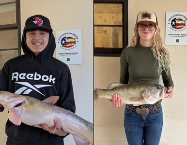 Miniatura: Młodzi mistrzowie wędkowania ustanowili...