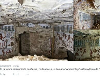 Miniatura: Archeolodzy odnaleźli kryptę Amenhotepa