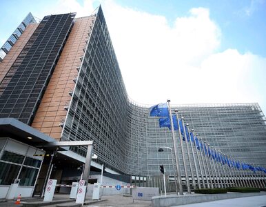 Miniatura: Parlament Europejski