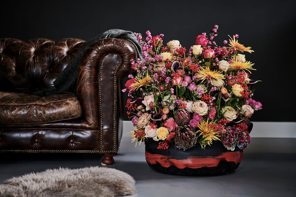 Miniatura: Chryzantemy