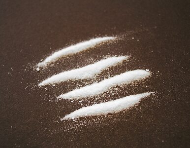 Miniatura: 1,4 tony kokainy wartej 270 mln euro w...