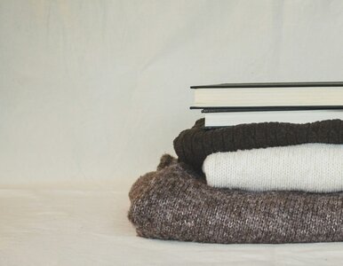 Miniatura: Błyskawiczny quiz ortograficzny. Jesteś...