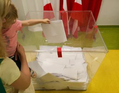 Miniatura: Wybory do PE 2024. Wyniki poznamy później...