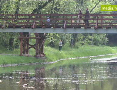 Miniatura: Slow jogging dla tych, co nie lubią biegać