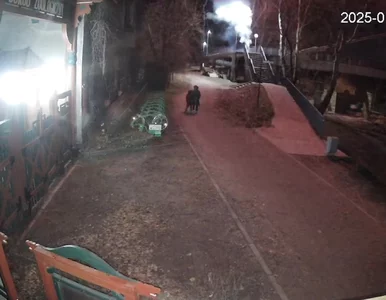 Miniatura: Fajerwerki przy bramie wrocławskiego zoo....