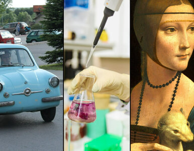 Miniatura: Poniedziałkowy QUIZ z wiedzy ogólnej....