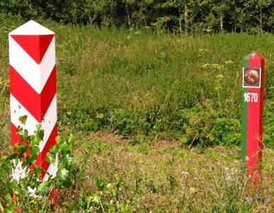 Miniatura: Białoruś ostrzega przed złodziejami z Polski