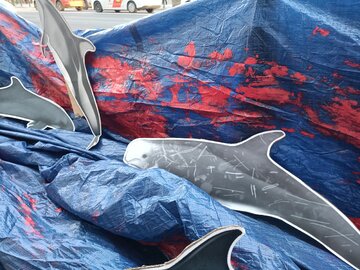 Kartonowe podobizny delfin&oacute;w, na&nbsp;kt&oacute;re poluje się w&nbsp;Taiji