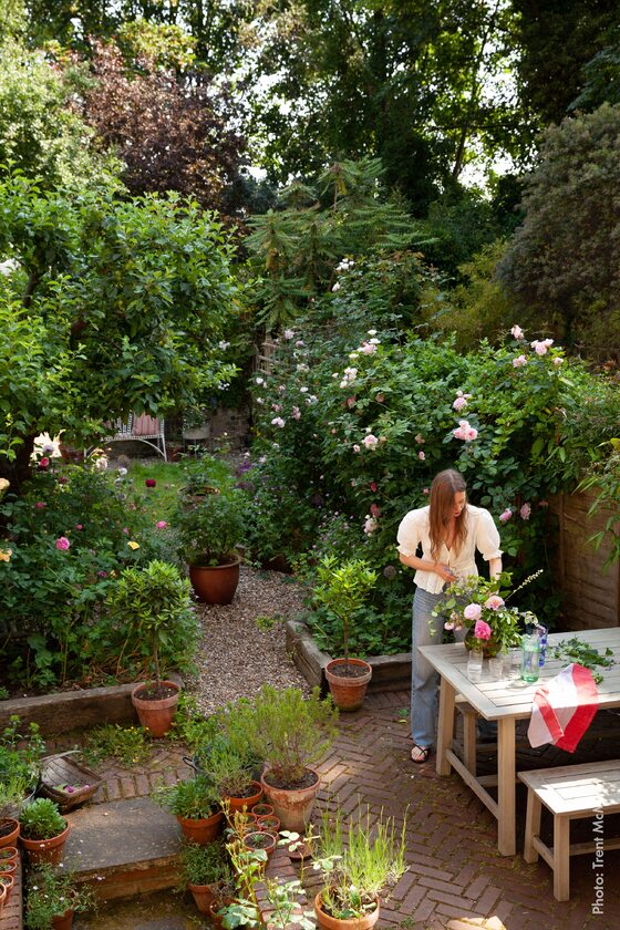Zaczarowany ogród szwedzkiej ogrodniczki  Stiny Hasan 