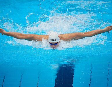Miniatura: Rekord świata na basenie olimpijskim....