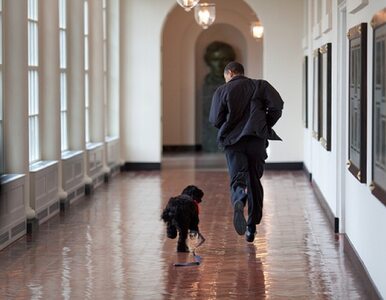Miniatura: Obama jakiego nie znacie - niezwykłe zdjęcia