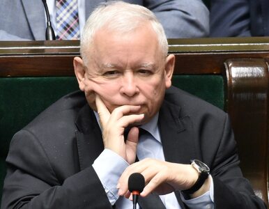 Miniatura: Kaczyński tłumaczy 12-latce powody inflacji