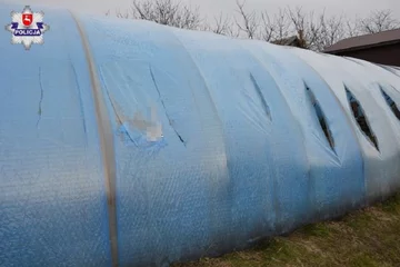 Zniszczony tunel foliowy 