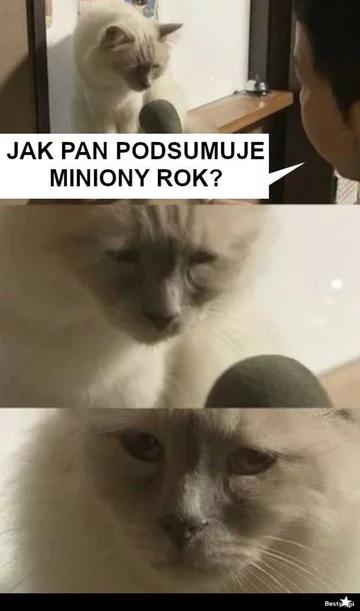Mem z okazji Nowego Roku 