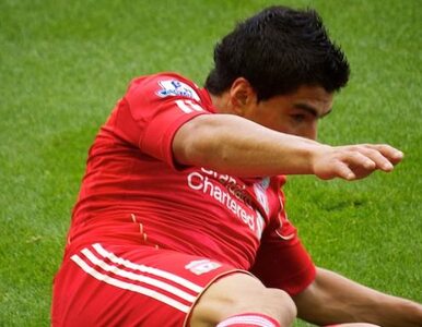 Miniatura: Luis Suarez odpocznie od piłki do lutego