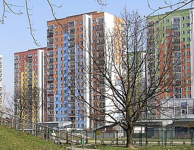 Miniatura: Połowa Polaków w przeludnionych mieszkaniach