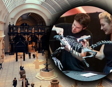 Miniatura: Jurajski sprinter. Odkryto nowego...