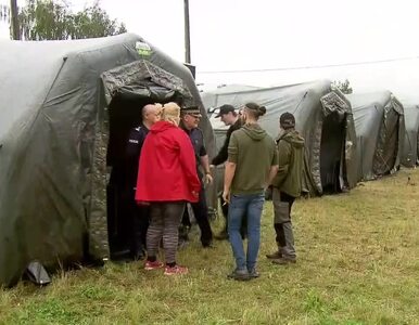 Miniatura: Pyton tygrysi wciąż na wolności. Powstało...