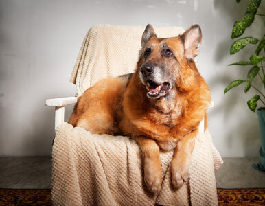 Miniatura: Sześć prostych sposobów na błyskawiczną...