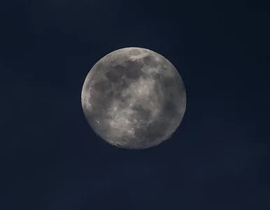 Miniatura: Pełnia Koźlego Księżyca. Dziś zobaczymy na...