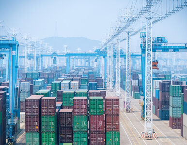 Miniatura: Trzeci największy port świata zamknięty do...