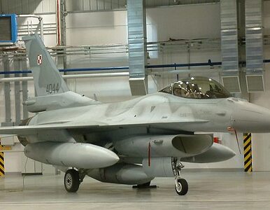 Miniatura: Polskie F-16 na &#8222;tygrysim&#8221;...