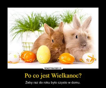 Świąteczne memy 