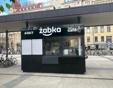 Miniatura: Ma tylko 8 metrów kwadratowych. To...