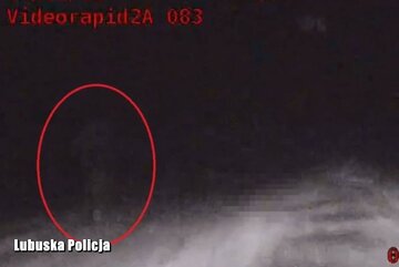 Pieszy na&nbsp;drodze