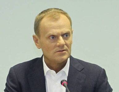 Miniatura: Tusk: Polska potrzebuje siły politycznej,...