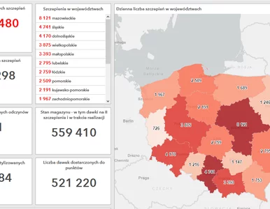 Miniatura: Tak przebiega proces szczepień w Polsce....