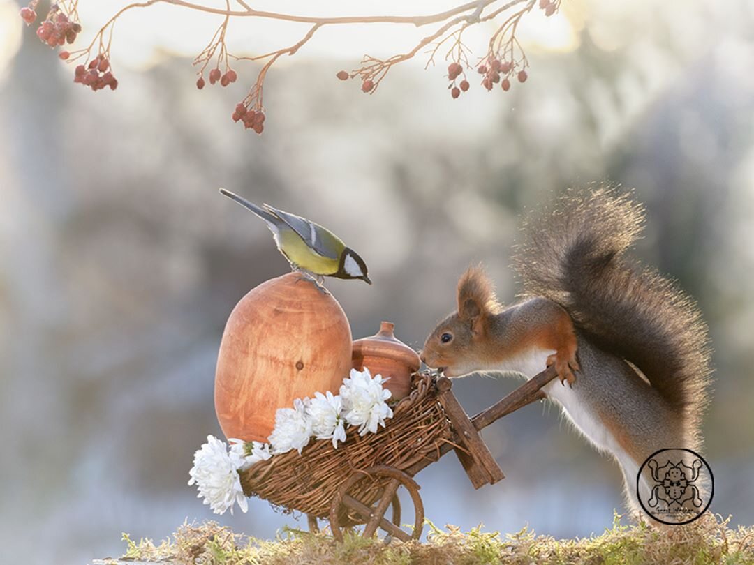 Geert Weggen 