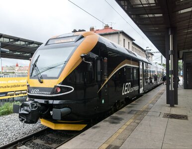 Miniatura: Nowy przewoźnik w Polsce ogłasza konkurs....