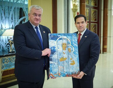 Miniatura: Ukraiński negocjator o szczegółach...