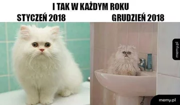 Mem z okazji Nowego Roku 