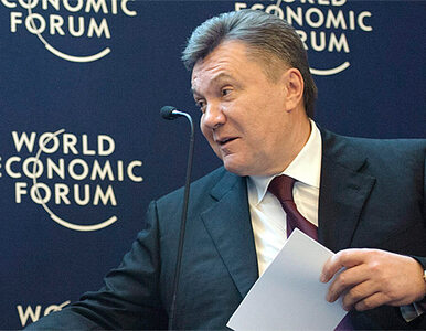 Miniatura: Janukowycz: Ukraina chce do Unii