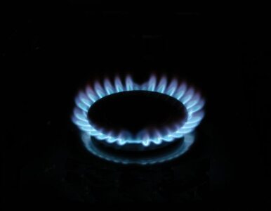 Miniatura: Gaz będzie tańszy, żeby... móc podrożeć?