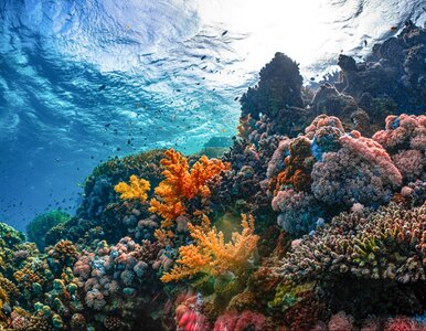 Miniatura: 10 pytań, na które trzeba znać odpowiedzi