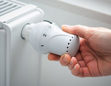 Miniatura: Świadectwa energetyczne wyzwaniem dla...